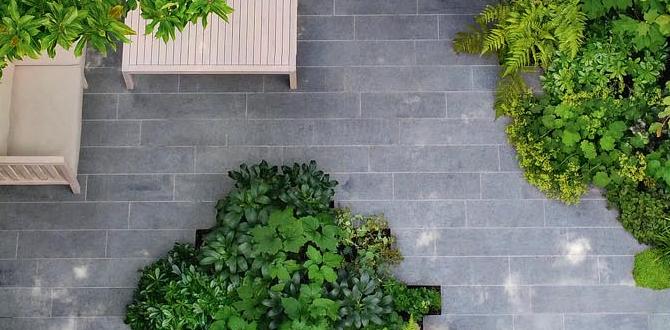 Choosing the right plants for small gardens landscape garden ideas for small gardens Choosing the right plants for small gardens landscape garden ideas for small gardens