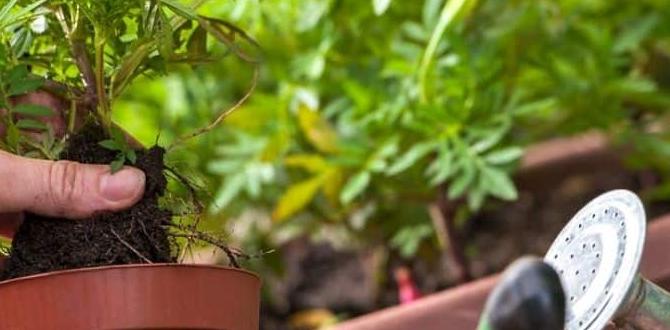 Choosing the right plants gardening for newbies Choosing the right plants gardening for newbies