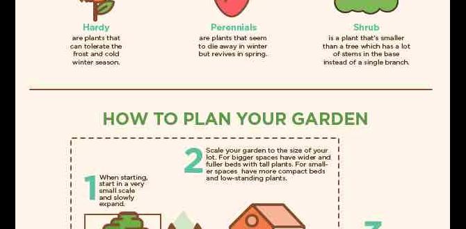 Choosing the right plants gardening tips for beginnersgardening tips for beginners Choosing the right plants gardening tips for beginnersgardening tips for beginners