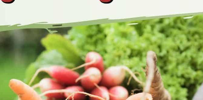Choosing the right plants tips for beginner gardeners Choosing the right plants tips for beginner gardeners