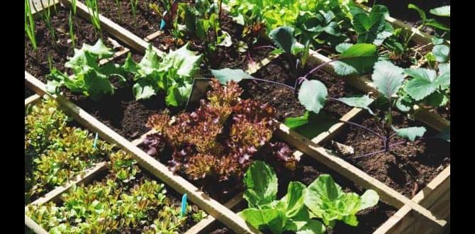Choosing the right plants tips for gardening