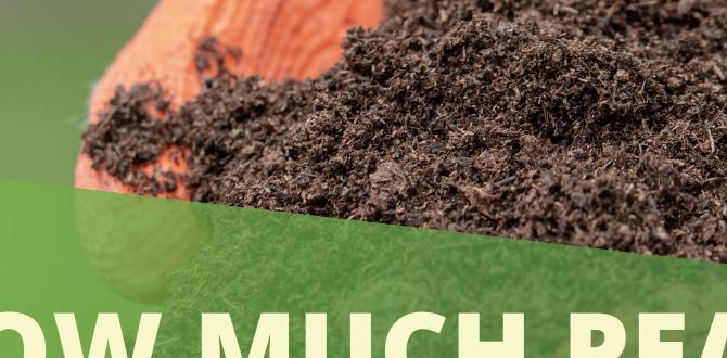 Choosing the right quality of peat moss peat moss for gardening Choosing the right quality of peat moss peat moss for gardening