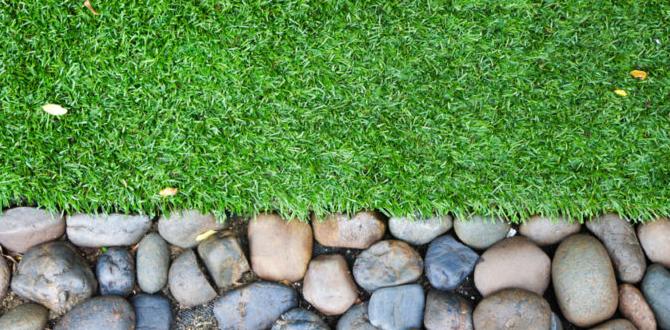 Choosing the right size and shape boulders for gardens