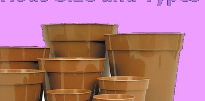 Choosing the right size large pots for gardening