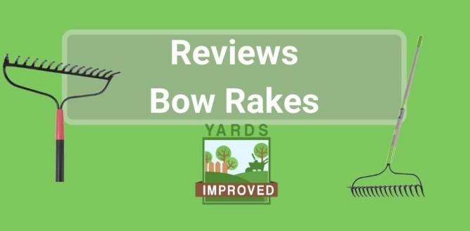 Choosing the right size of rake rake for gardening Choosing the right size of rake rake for gardening