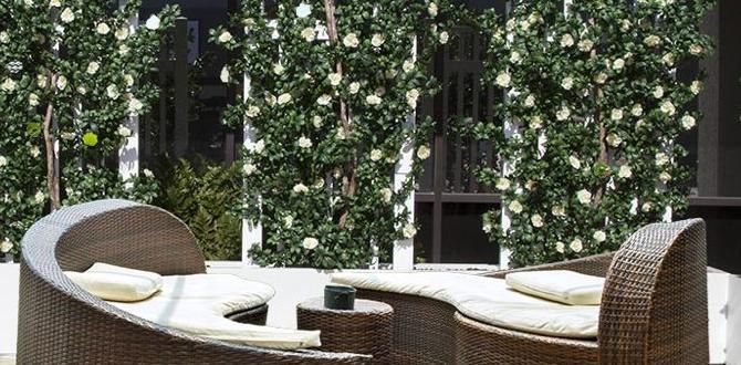 Choosing the right size planter planters for gardening