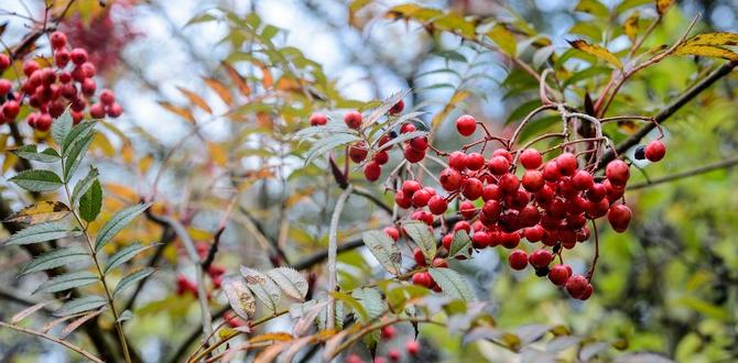 Choosing the right small trees for your garden small trees for gardens Choosing the right small trees for your garden small trees for gardens