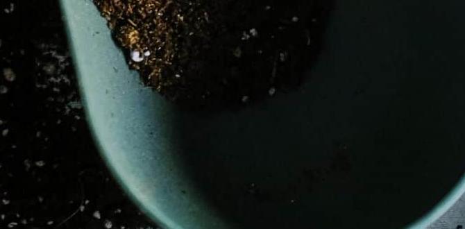 Choosing the right soil for your plants types of soil for gardening Choosing the right soil for your plants types of soil for gardening
