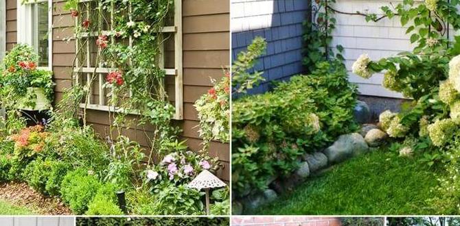 Choosing the right trellis for your plants trellis designs for gardens Choosing the right trellis for your plants trellis designs for gardens