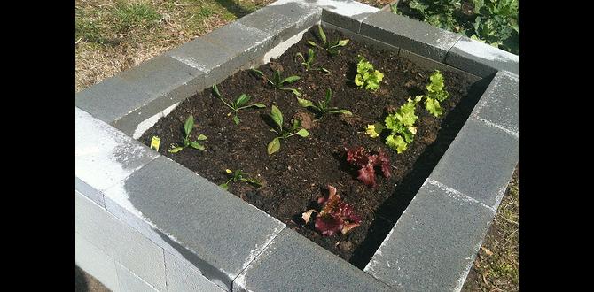 Choosing the right type of concrete block concrete blocks for raised gardens Choosing the right type of concrete block concrete blocks for raised gardens