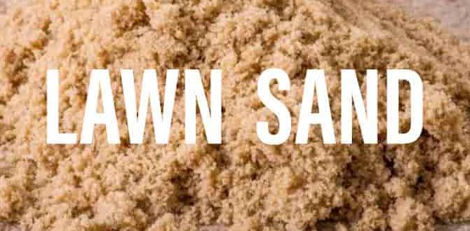 Choosing the right type of green sand green sand for gardens Choosing the right type of green sand green sand for gardens