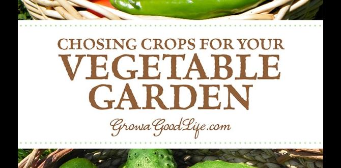 Choosing the right vegetables for your climate vegetables for gardens ideas