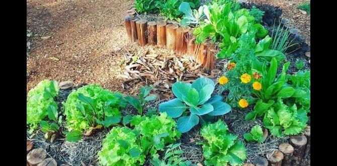 Choosing the right vegetables vegetable gardening ideas for small spaces Choosing the right vegetables vegetable gardening ideas for small spaces