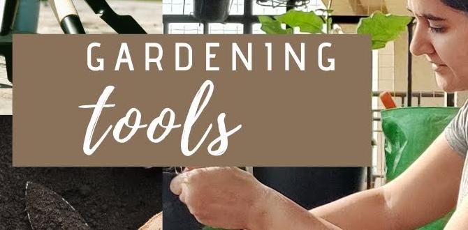 Choosing the right watering equipment gardening tools for beginners Choosing the right watering equipment gardening tools for beginners