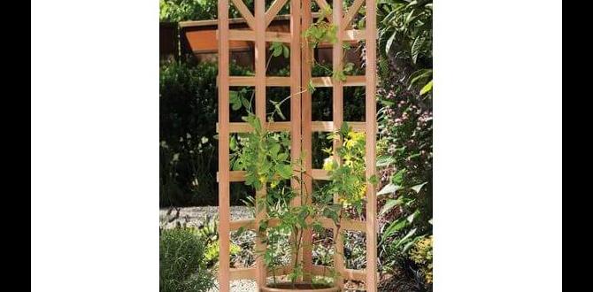 Choosing the right wood for trellises wooden trellises for gardens Choosing the right wood for trellises wooden trellises for gardens