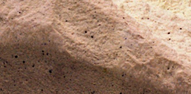 Clay soil types of soil for gardening Clay soil types of soil for gardening