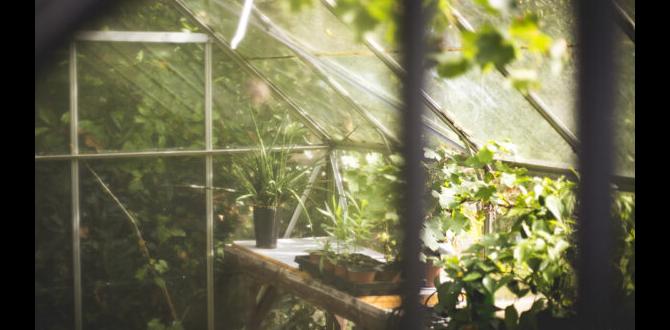 Climate control in the greenhouse greenhouse gardening for beginners