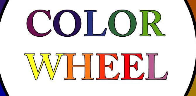 Color schemes and themes in rectangular gardens designs for rectangular gardens Color schemes and themes in rectangular gardens designs for rectangular gardens