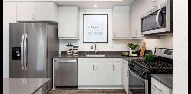 Common challenges and solutions apartments for rent in gardena ca under $1 000 Common challenges and solutions apartments for rent in gardena ca under $1 000
