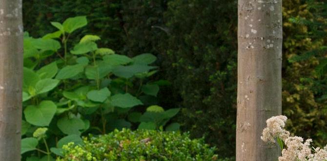 Common challenges and solutions best plants for raised bed gardens