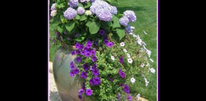 Common challenges and solutions container gardening for small spaces Common challenges and solutions container gardening for small spaces