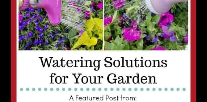 Common challenges and solutions digital watering system for gardens Common challenges and solutions digital watering system for gardens
