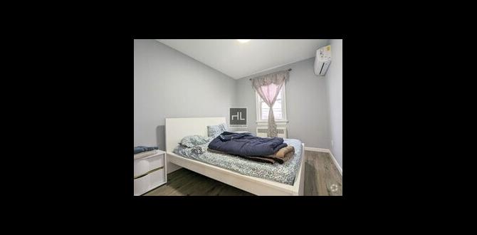 Common challenges and solutions for renters apartments for rent oakland gardens ny Common challenges and solutions for renters apartments for rent oakland gardens ny