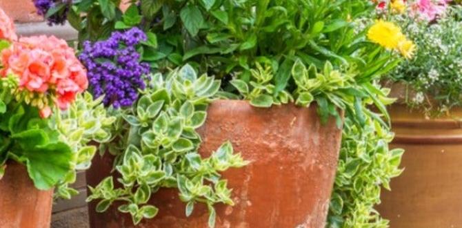 Common challenges and solutions in metal container gardening metal containers for gardening