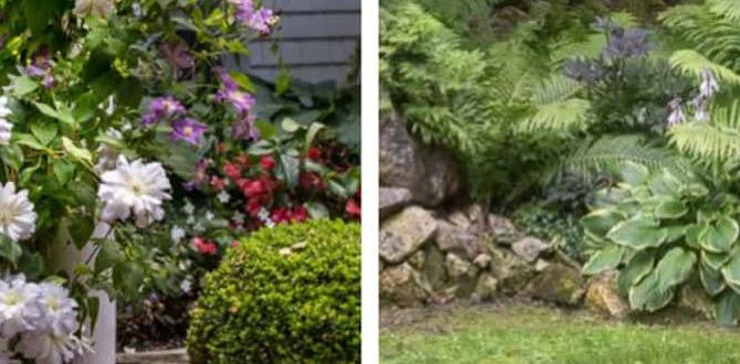 Common challenges in shade gardening ideas for shade gardens