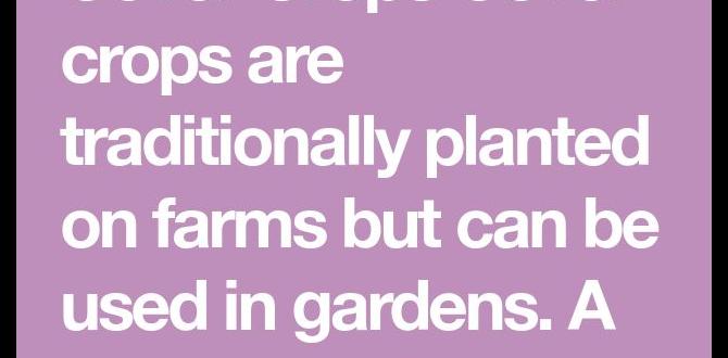 Common challenges with cover crops cover crop for gardens Common challenges with cover crops cover crop for gardens
