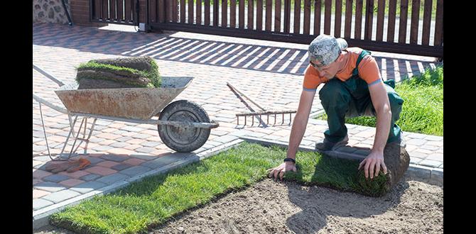 Common exclusions in liability insurance policies liability insurance for gardeners Common exclusions in liability insurance policies liability insurance for gardeners