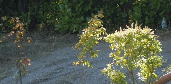 Common gardener pricing mistakes to avoid how much for gardener