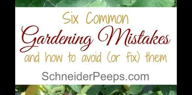 Common gardening mistakes in ohio and how to avoid them what zone is ohio for gardening
