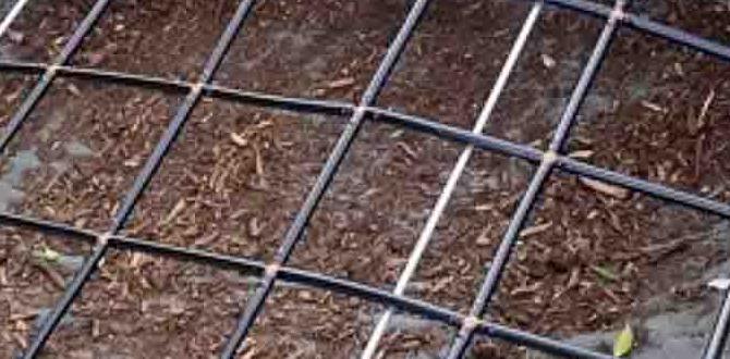 Common gardening mistakes to avoid in spring when to start gardening for spring Common gardening mistakes to avoid in spring when to start gardening for spring