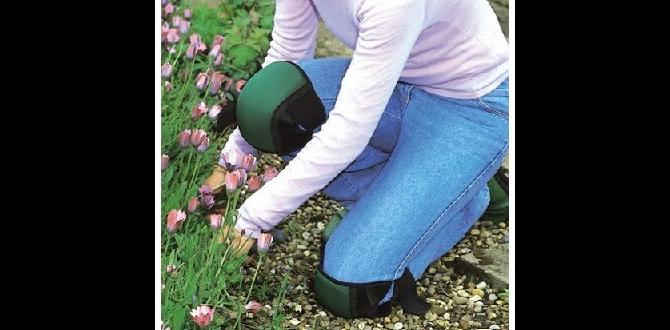 Common issues and solutions with gel knee pads gel knee pads for gardening