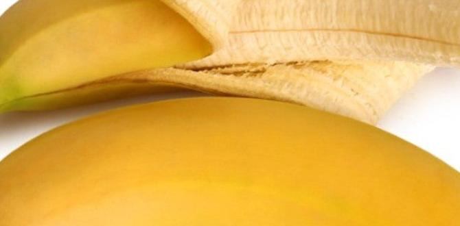 Common misconceptions about banana peels banana peels for gardening
