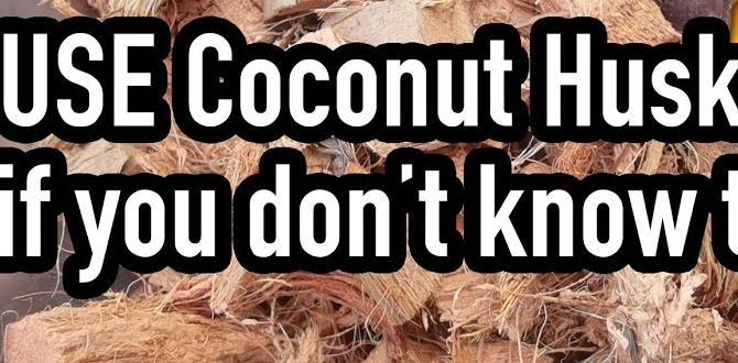 Common misconceptions about coconut husk in gardening coconut husk for gardening Common misconceptions about coconut husk in gardening coconut husk for gardening