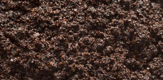 Common misconceptions about coffee grounds are coffee grounds good for vegetable gardens