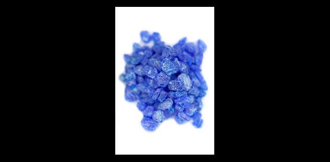 Common misconceptions about copper sulfate copper sulfate for gardening Common misconceptions about copper sulfate copper sulfate for gardening