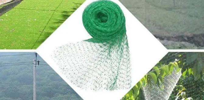Common misconceptions about garden mesh mesh for gardening Common misconceptions about garden mesh mesh for gardening