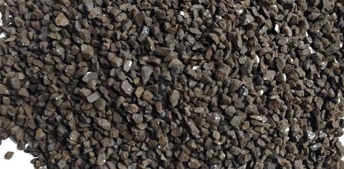 Common misconceptions about green sand green sand for gardens Common misconceptions about green sand green sand for gardens
