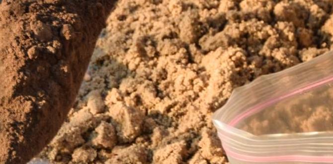 Common misconceptions about soil testing soil test for gardening Common misconceptions about soil testing soil test for gardening