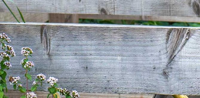Common mistakes in composting compost for gardens