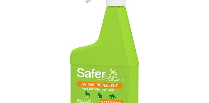 Common mistakes to avoid animal repellent spray for gardens Common mistakes to avoid animal repellent spray for gardens