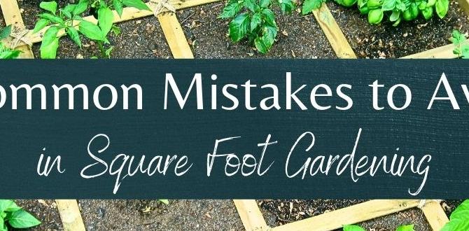 Common mistakes to avoid best plants for square foot gardening Common mistakes to avoid best plants for square foot gardening