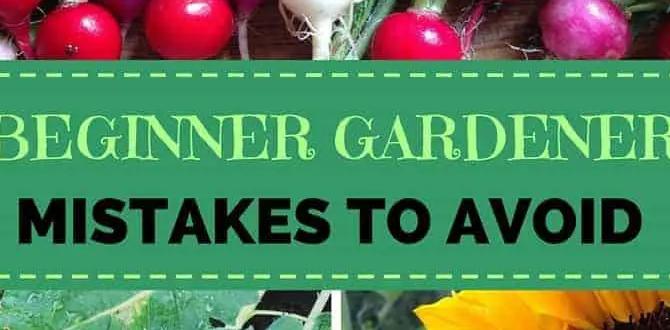 Common mistakes to avoid best vegetables for beginner gardeners Common mistakes to avoid best vegetables for beginner gardeners