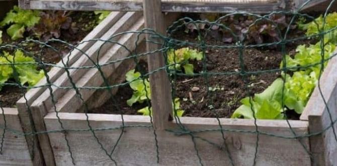 Common mistakes to avoid cold frame for gardening Common mistakes to avoid cold frame for gardening