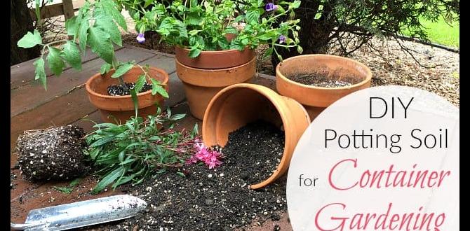 Common mistakes to avoid diy potting soil for container gardening Common mistakes to avoid diy potting soil for container gardening