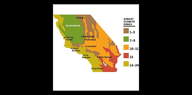 Common mistakes to avoid in california gardening gardening zones for california Common mistakes to avoid in california gardening gardening zones for california