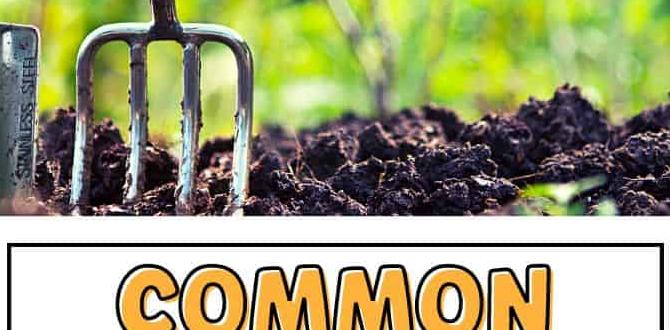 Common mistakes to avoid in raised garden soil selection soil for raised gardens